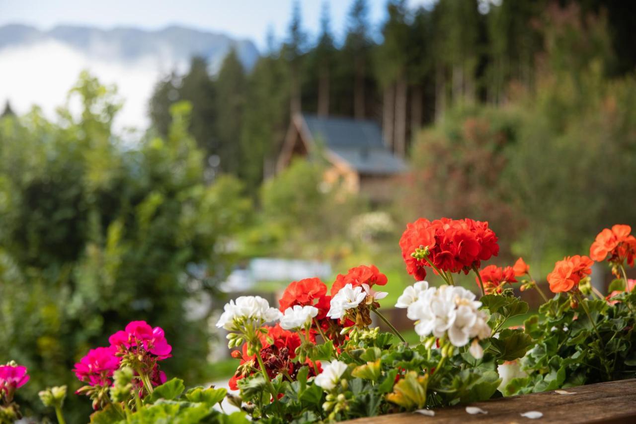 Apartment Wanger Neukirchen am Großvenediger Dış mekan fotoğraf